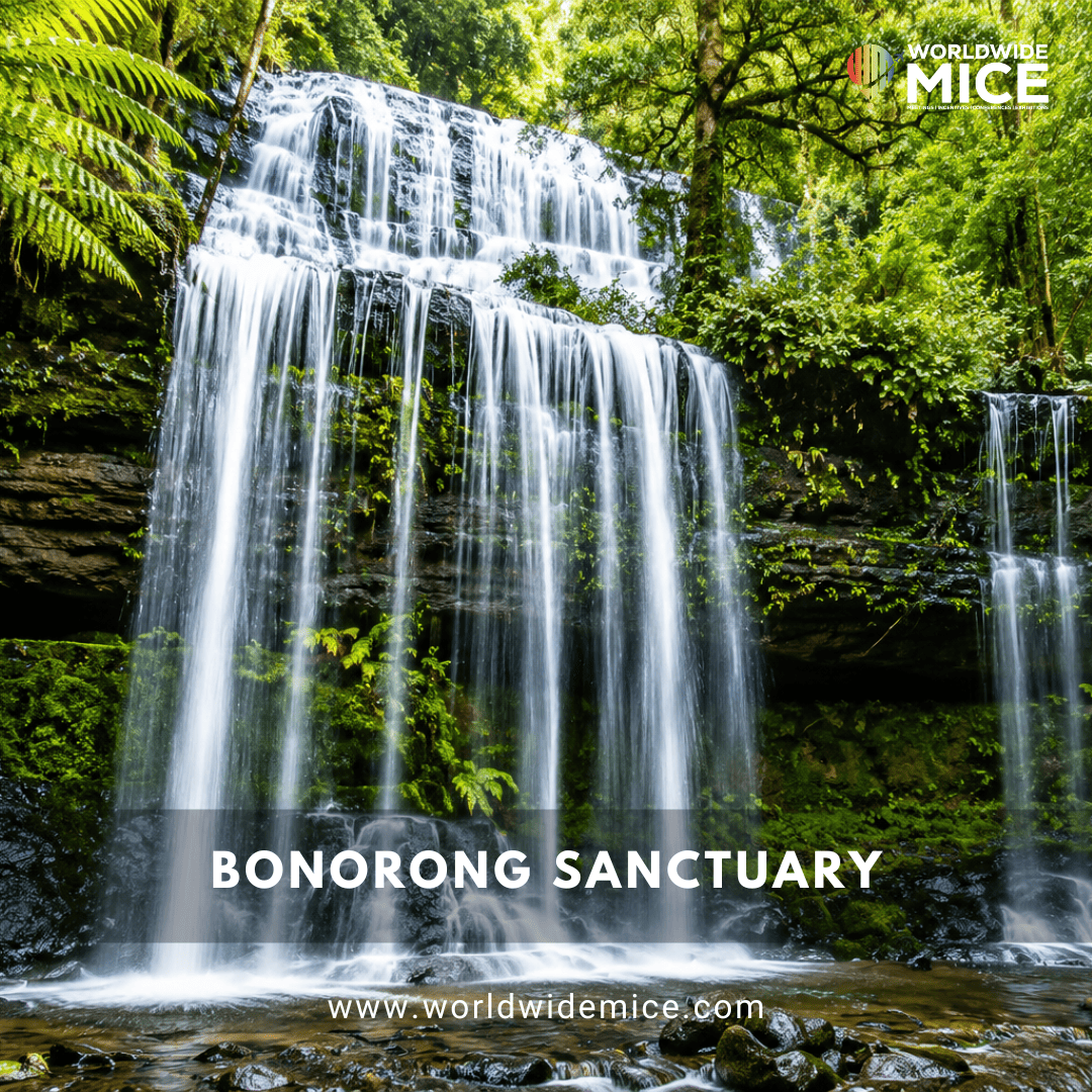 Bonorong Sanctuary